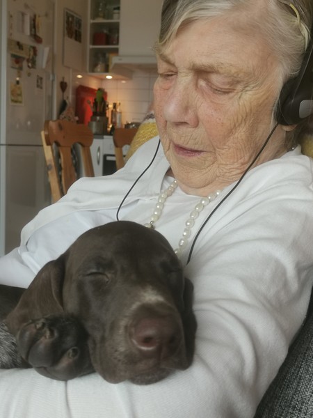 Klicka för att se förhandsgranska