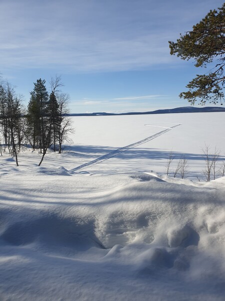 Klicka för att se förhandsgranska